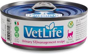 Rekomendasi Makanan Kucing Sakit Susah Kencing Farmina Vet Life Struvite Management