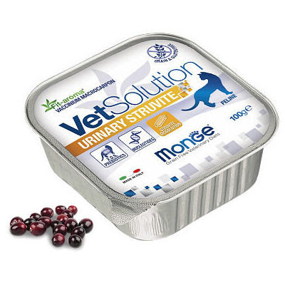 Rekomendasi Makanan Kucing Sakit Susah Kencing Monge VetSolution Urinary Struvite